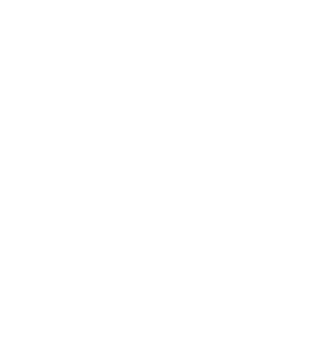 Synolo